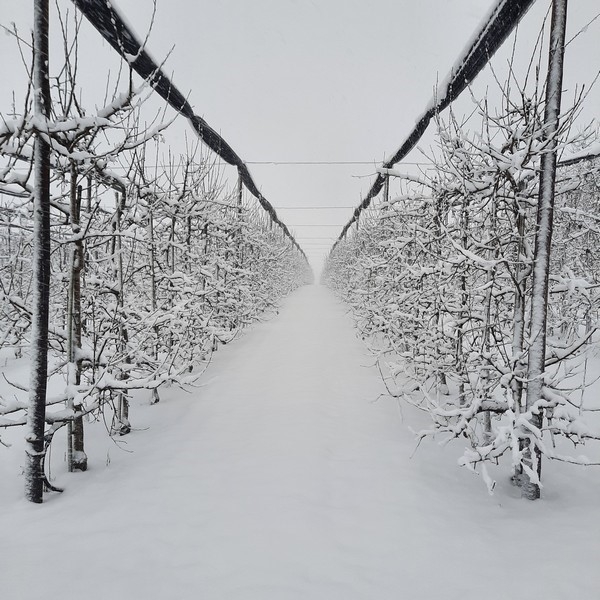 Impression vom 19.01.2026