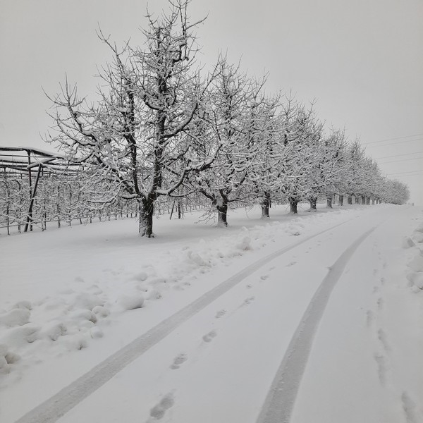 Impression vom 19.01.2026