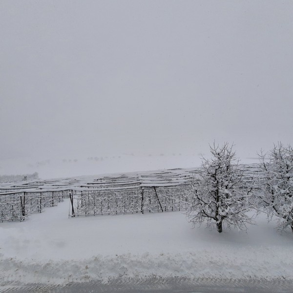 Impression vom 19.01.2026