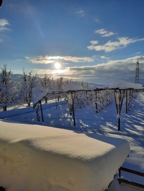 Impression vom 19.01.2026