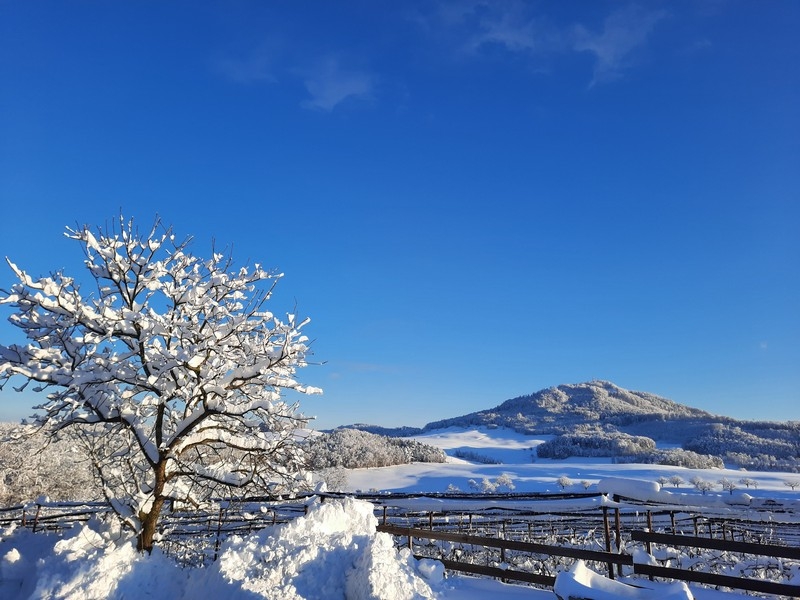 Impression vom 19.01.2026