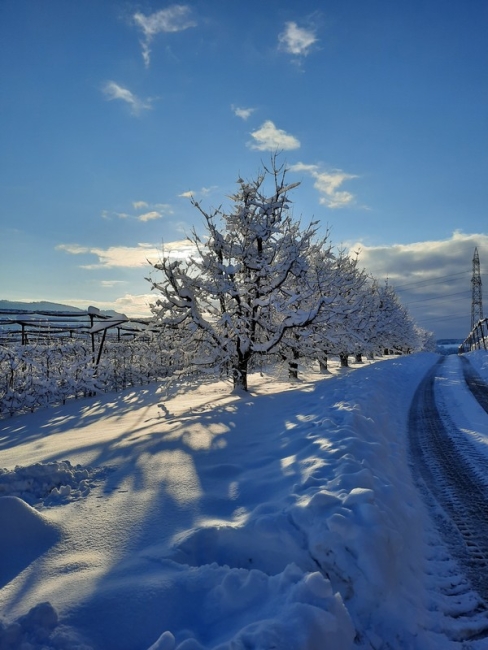 Impression vom 19.01.2026