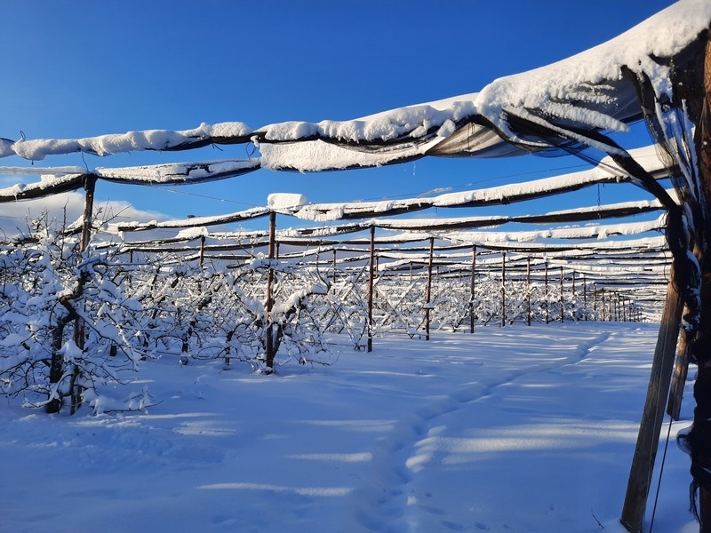 Impression vom 19.01.2026