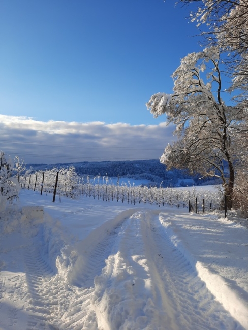 Impression vom 19.01.2026