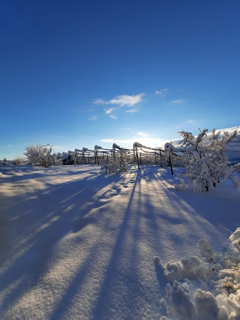 Impression vom 19.01.2026