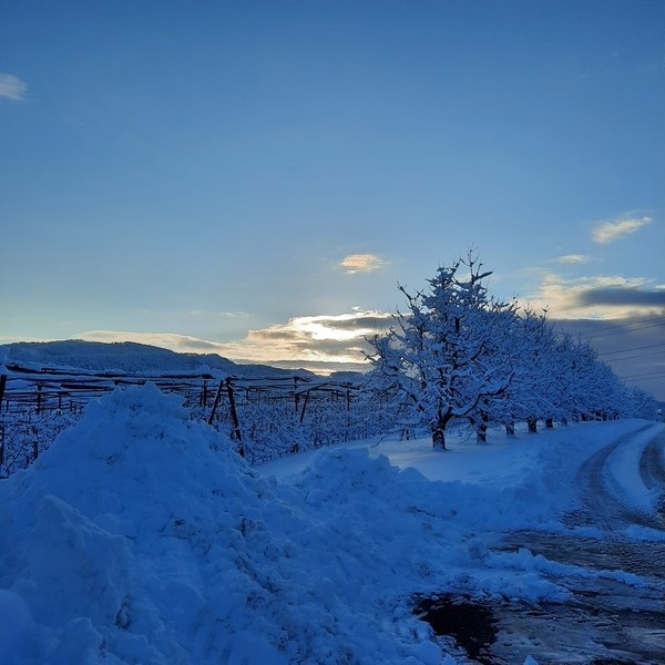 Impression vom 19.01.2026