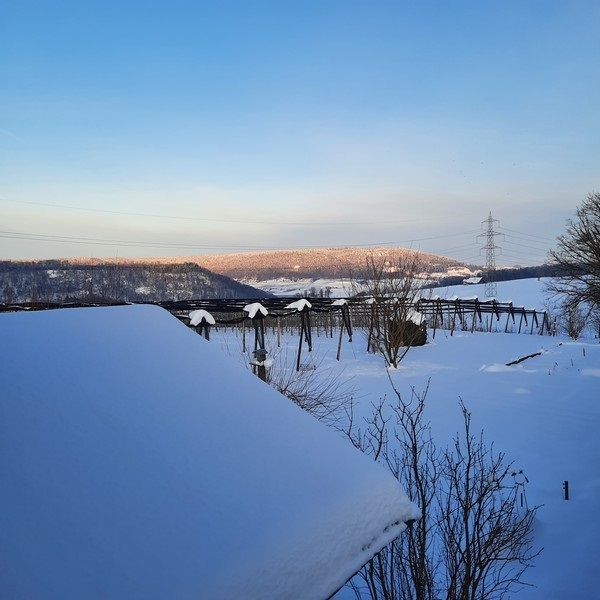 Impression vom 19.01.2026